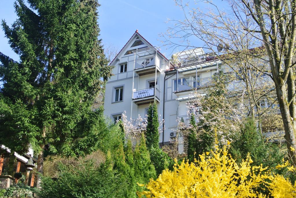 Esprit-Art-Suitenappartements Baden-Baden Pokój zdjęcie